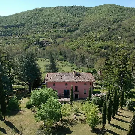 Rosa Panzano * Panzano in Chianti