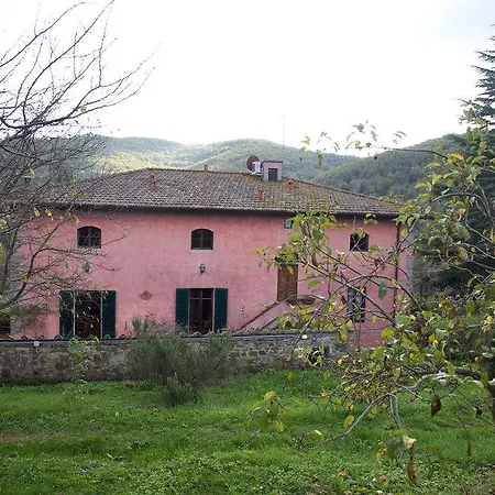 Rosa Panzano Panzano in Chianti